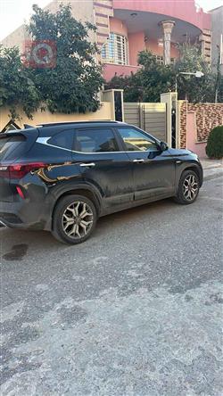 کیا سێلتۆس